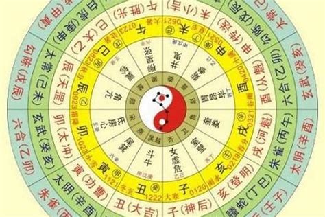 眼睛五行|八字解析“眼睛”五行属性（一）